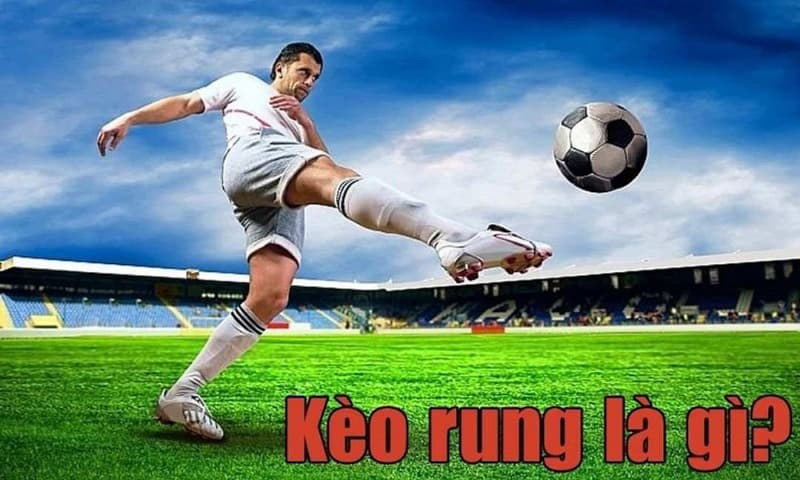 Những kinh nghiệm bắt kèo rung chuẩn xác nhất