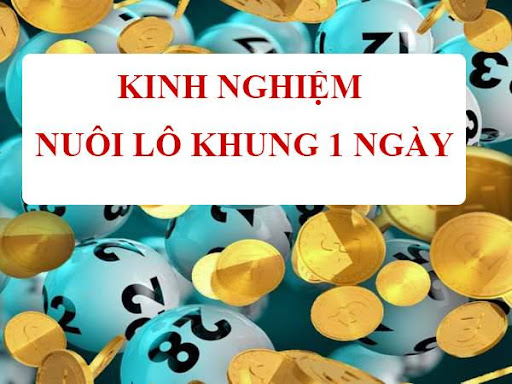 Lý do vì sao nên nuôi lô khung 1 ngày?