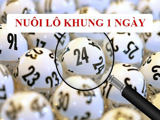 Các phương pháp nuôi lô khung 1 ngày hiệu quả