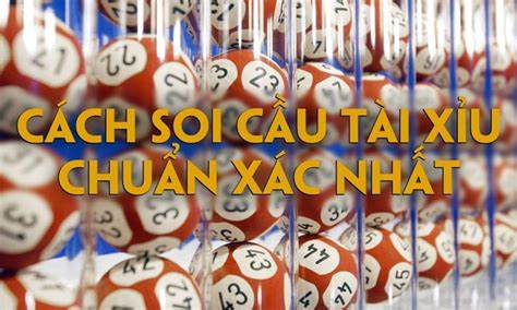 Quy trình nuôi lô khung 1 ngày bài bản, chính xác