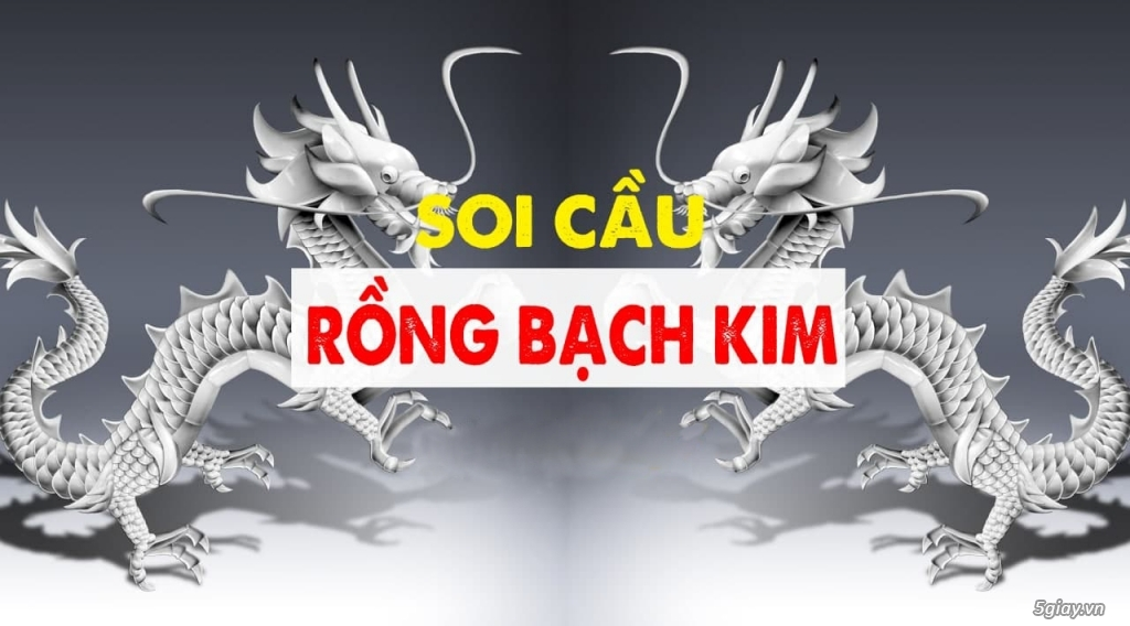 Dự đoán với soi cầu Rồng Bạch Kim 8899